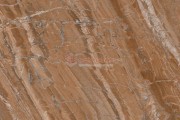 Gạch Ốp Lát APODIO 66283012